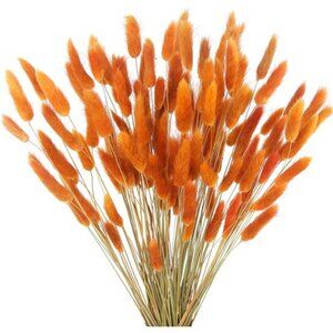 120pcs Dried Bunny Tails Flowers Orange Lagurus Ovatus Tail Dried Flowers